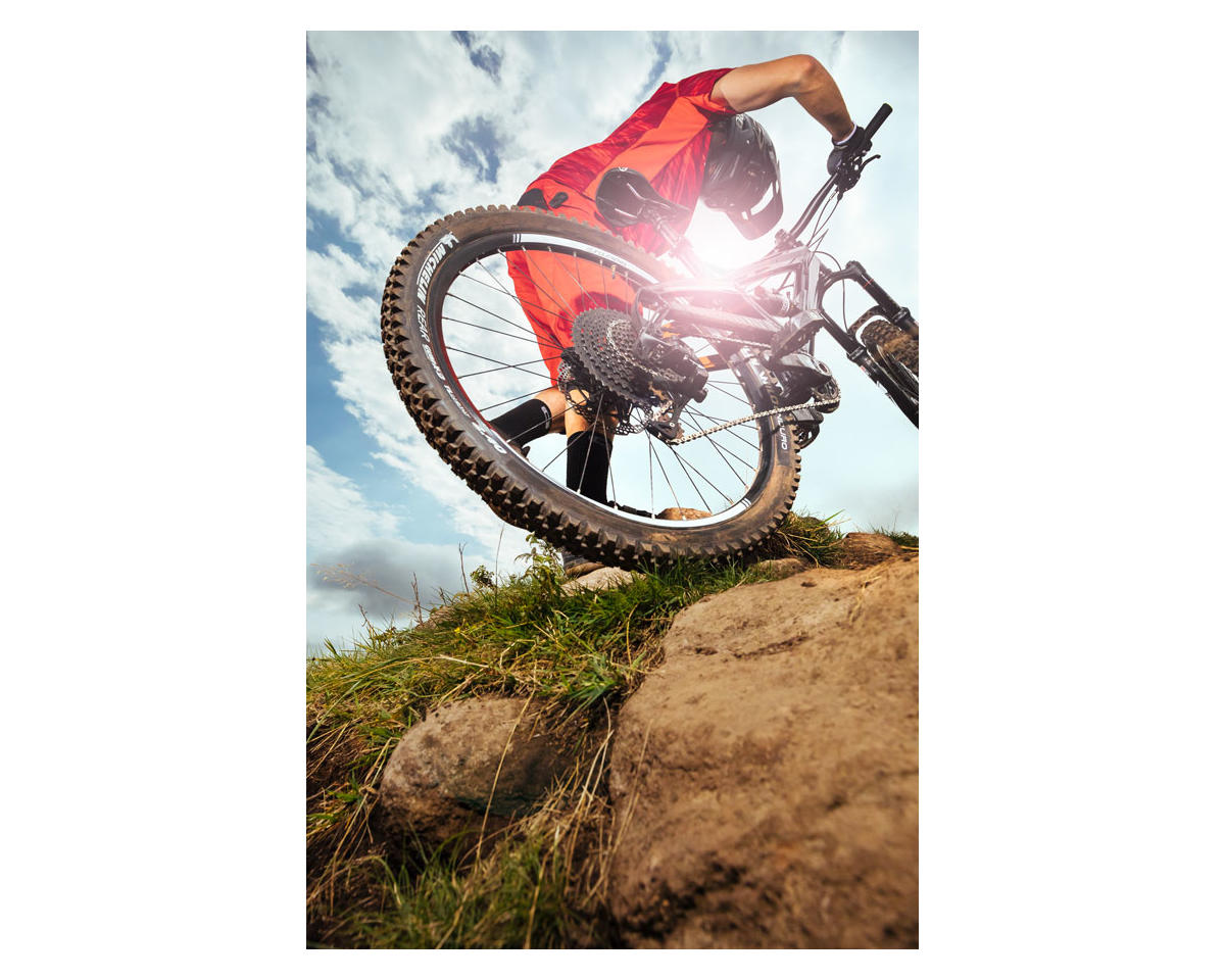 Michelin Wild Enduro Tire (Black) (Tubeless) (29″) (2.4″) (GUM-X | 60 TPI) (Rear) (GravityShield)