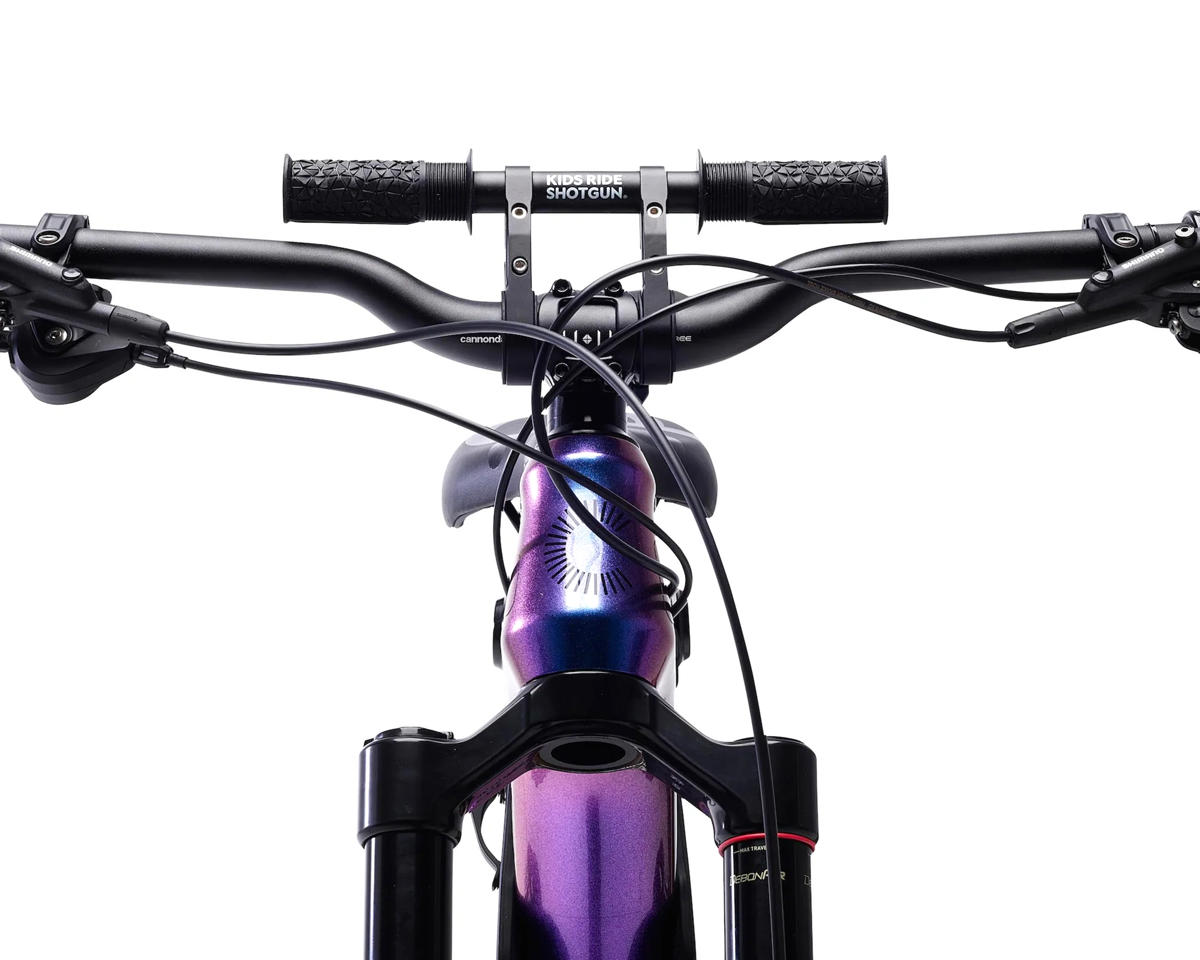 Kids Ride Shotgun 2.0 Child Seat & Handlebar Combo (Black)