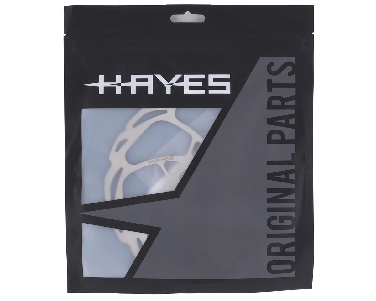 Hayes D-Series Rotor (180mm)