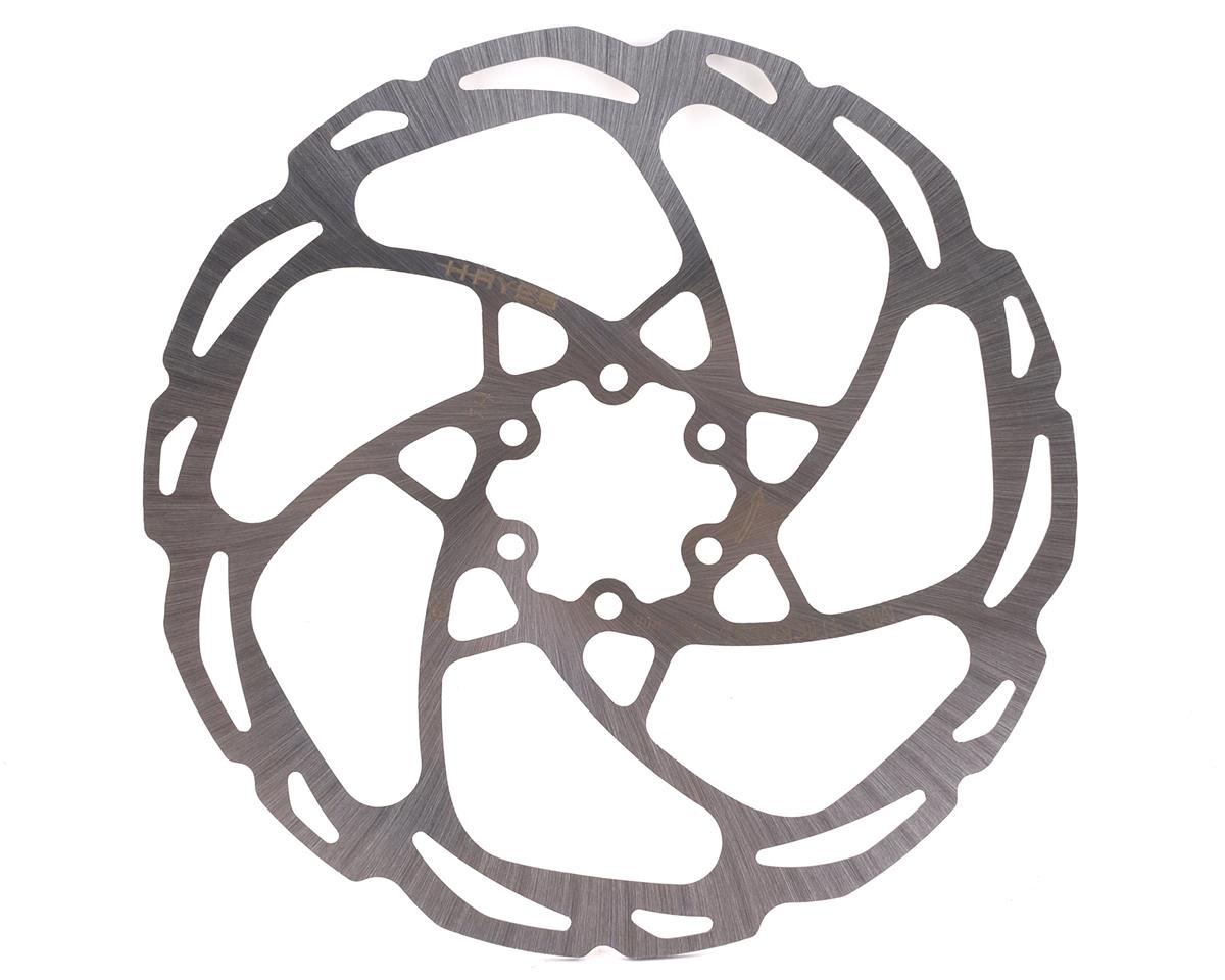 Hayes D-Series Rotor (180mm)