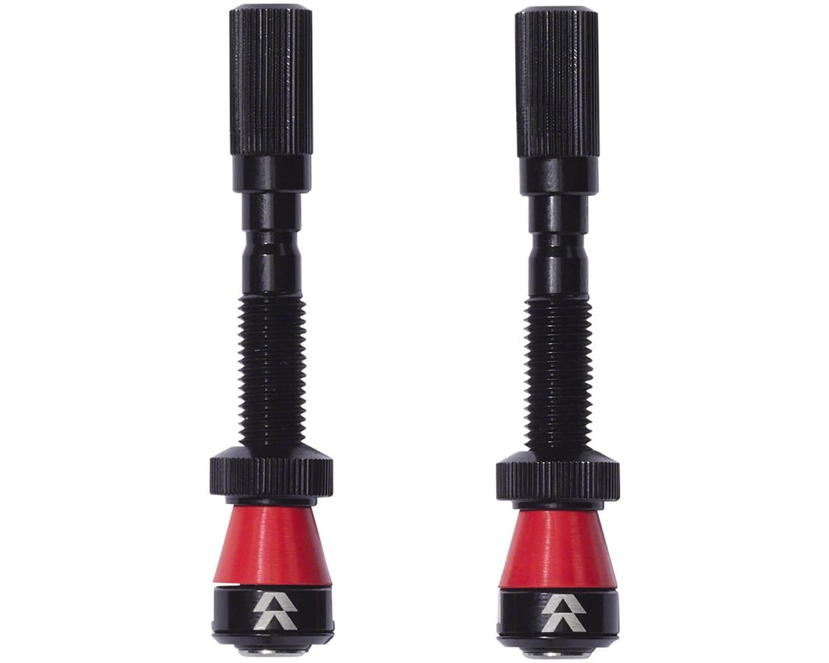 Reserve Wheels Fillmore Tubeless Valves (Black) (Pair) (90mm)